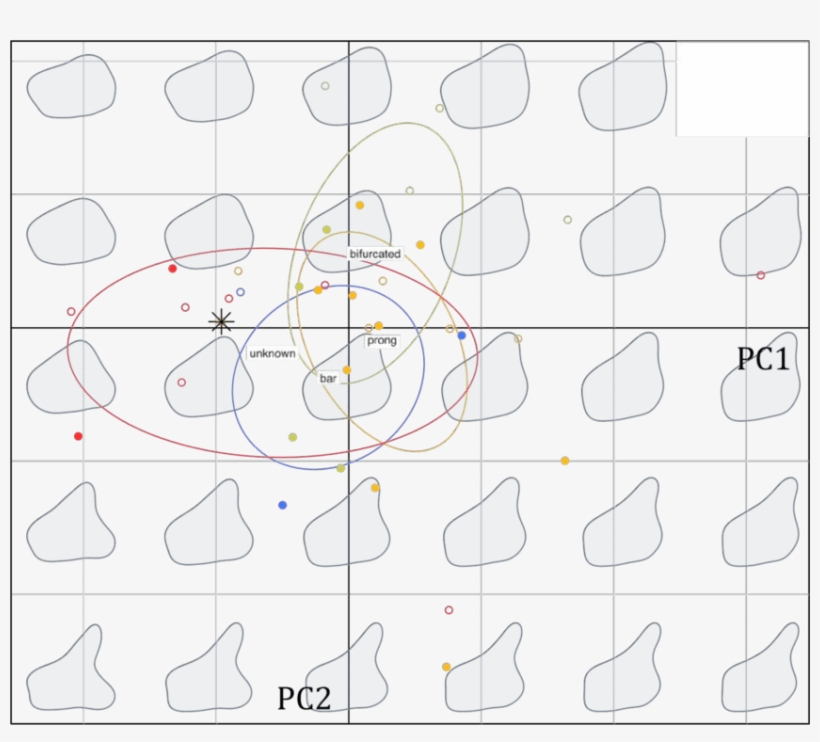 Biplot Of The Pca Performed On Stegosaurus Dorsal Plates,, transparent png download