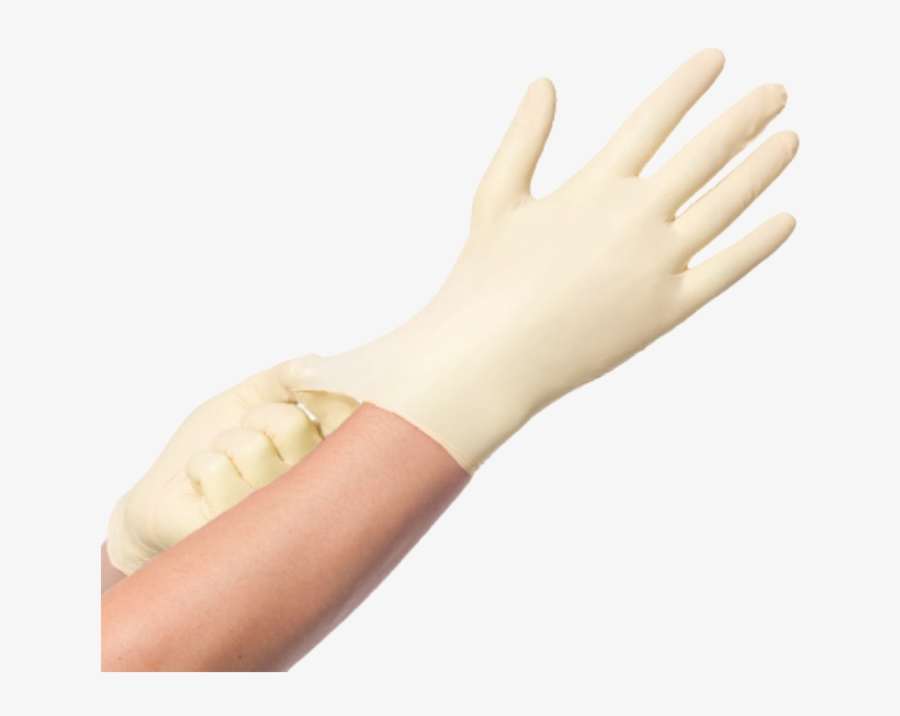 Laties, transparent png download