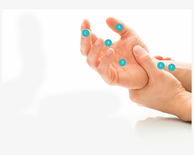 Distal Radial Fractures A Common Bone Fracture Of The, transparent png download