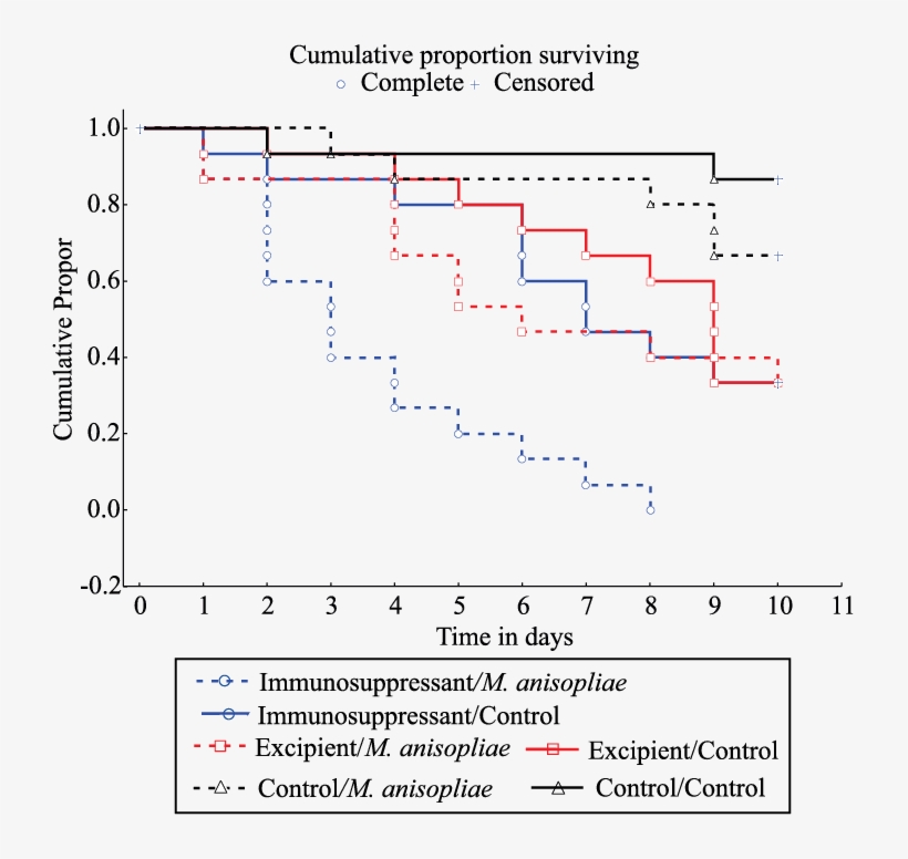 Kaplan-meier Survival Curves Of Atta Sexdens Worker, transparent png download