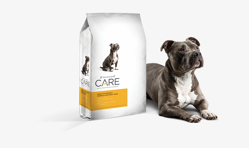 Sensitive Stomach - Diamond Care Sensitive Stomach Dog, transparent png download