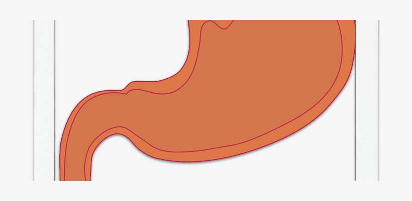 First Med Urgent Care, transparent png download