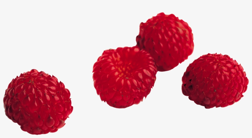 Rraspberry Png Image - Raspberry Transparent, transparent png download
