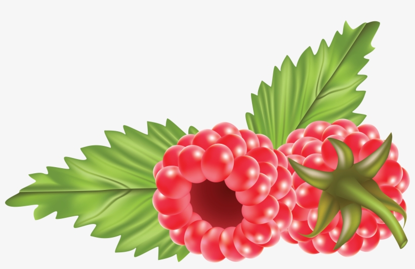 Rraspberry Png Image - Raspberry Clipart Png, transparent png download