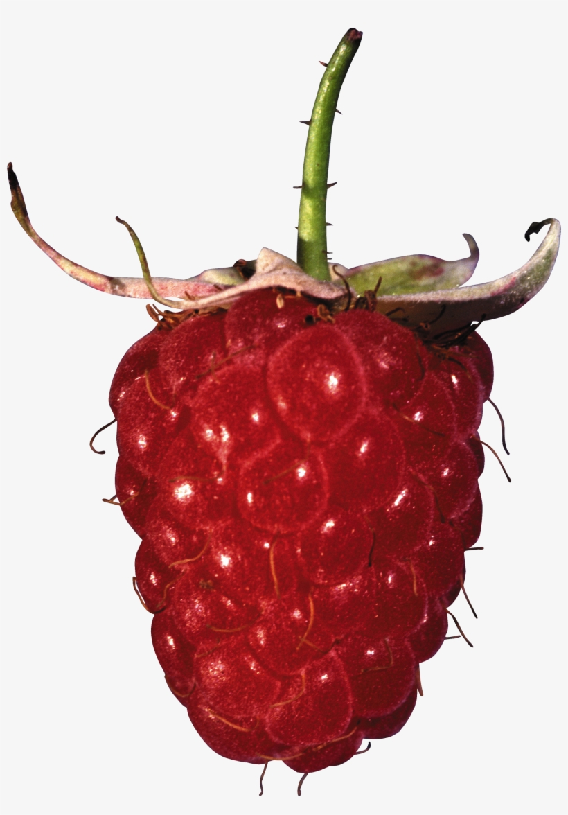 Rraspberry Png Image - Картинки, transparent png download