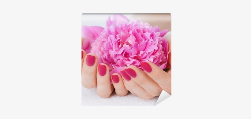 Woman Cupped Hands With Manicure Holding A Pink Flower - Give A Home Manicure & Pedicure [book], transparent png download