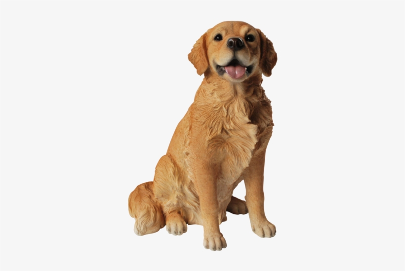 Golden Retriever Png Photo - Golden Retriever Real Life Resin Ornament By Vivid, transparent png download