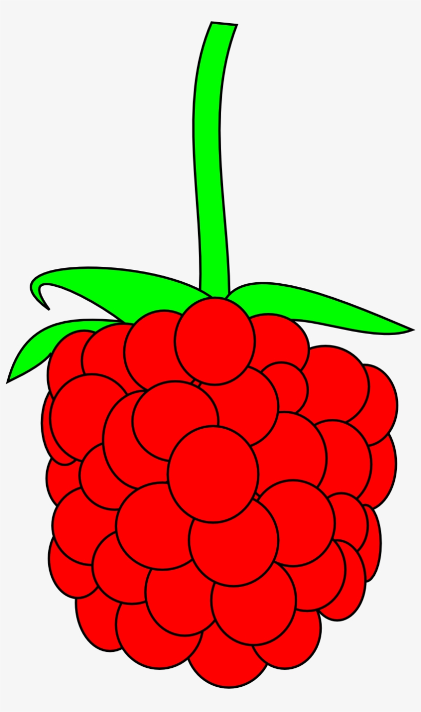 Raspberry Png Clipart - Berry Clipart, transparent png download