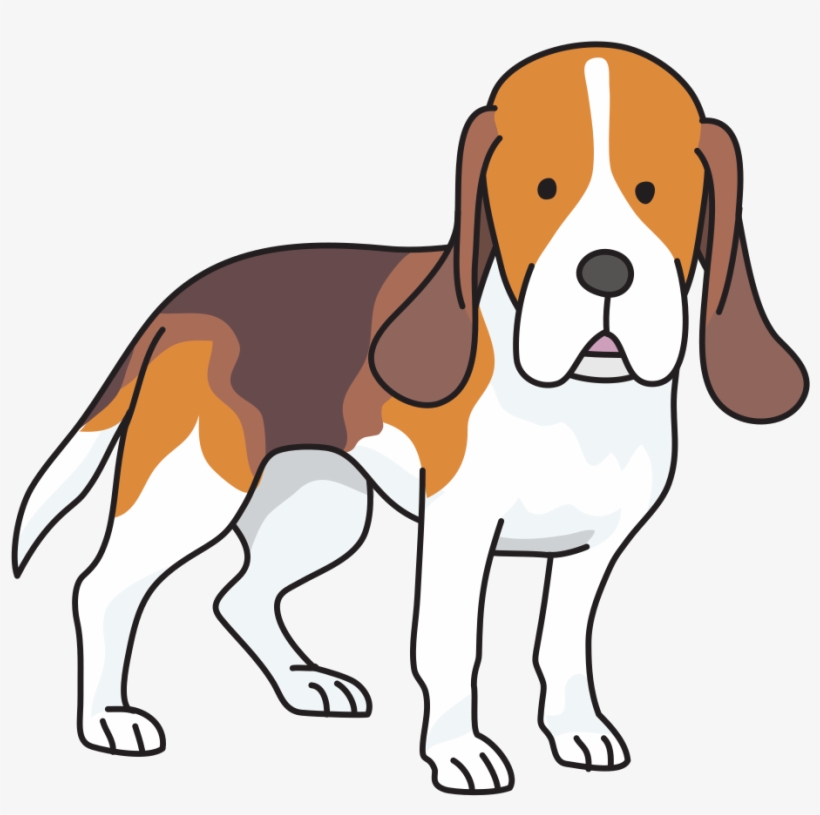 Beagle Golden Retriever Labrador Retriever Puppy Drawing - Beagle, transparent png download