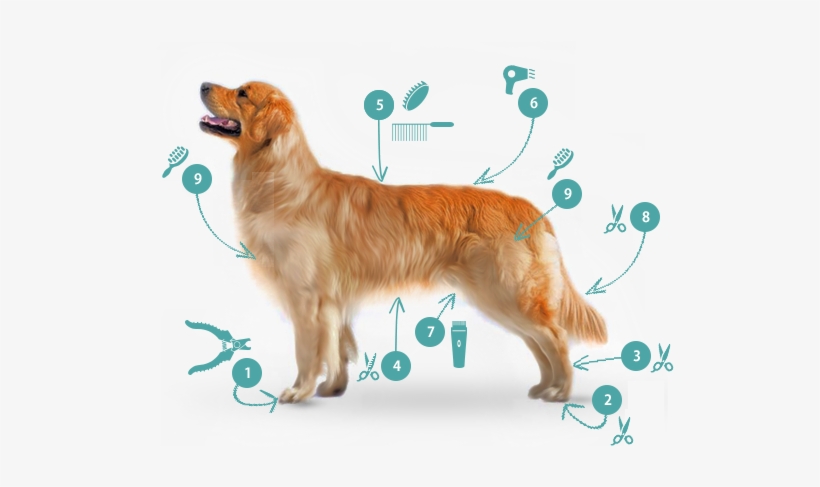 Trim Nails And Grind As Short As Possible - Places In The Heart, White, transparent png download