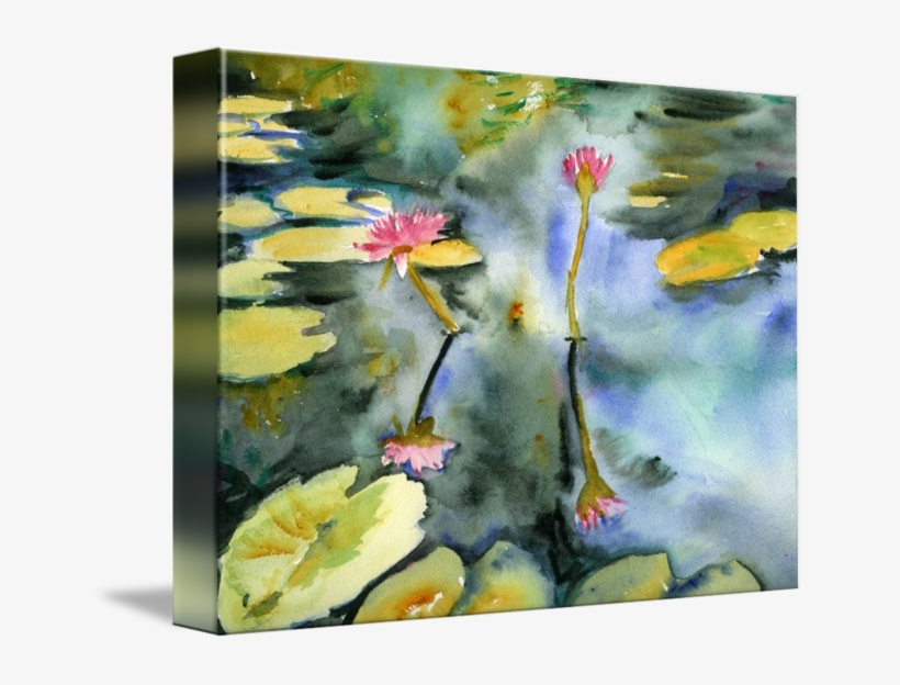Lily Family By Miriam Schulman Watercolor Artists, - Gallery-wrapped Canvas Art Print 15 X 11 Entitled Lily, transparent png download