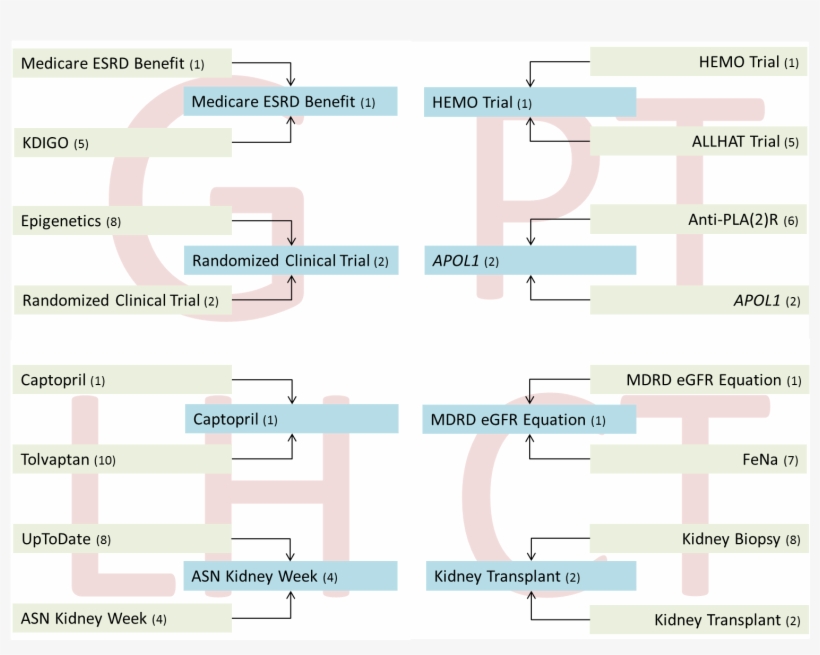 Click To Enlarge - Sweet 16 Amino Acid Tournament Answer Key, transparent png download
