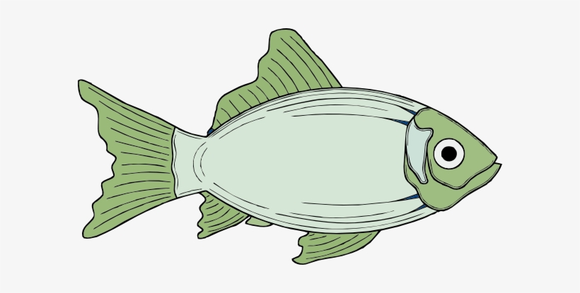 How To Set Use Cod Fish, White Clipart, transparent png download