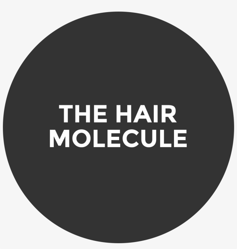 Tap To Explore - Fever Text, transparent png download