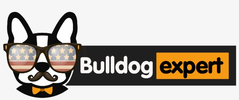 Become Pokemon Go Expert, transparent png download