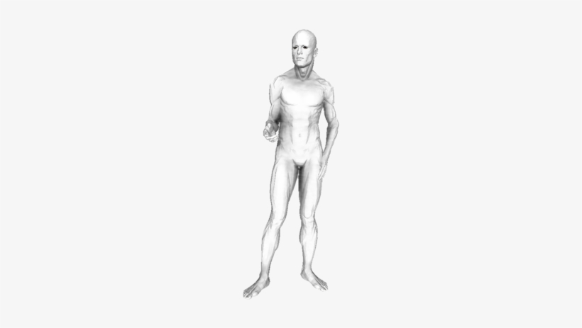 Figure Drawing, transparent png download