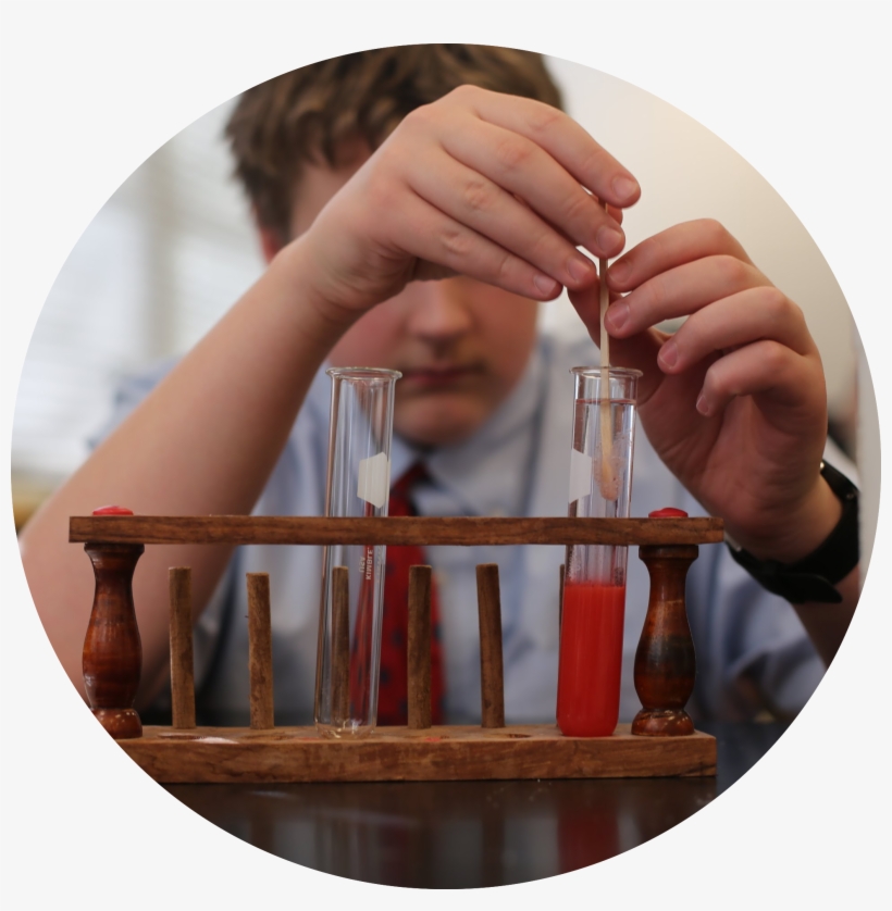 Recognition Societies - Cheverus High School, transparent png download