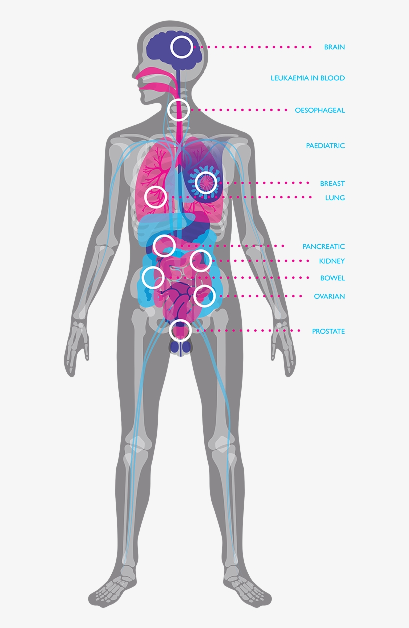 Resources - Cancer Research Uk Cambridge Institute, transparent png download