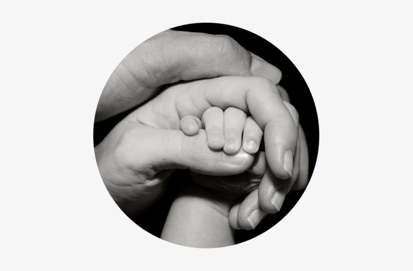 Father, Mother And Baby Holding Hands - God's Plan For The Family [book], transparent png download