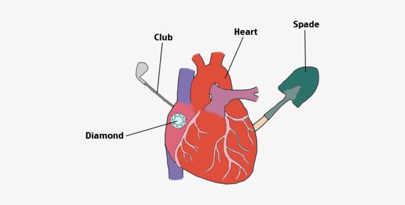Heart - Portable Network Graphics, transparent png download
