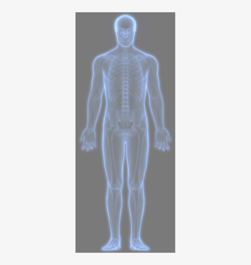 Body Image Body Image - X-ray, transparent png download
