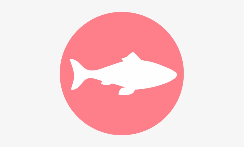 Unlike Most Pet Foods, Halo Uses Whole Meat, And No - Fish Meat And Poultry Icons, transparent png download