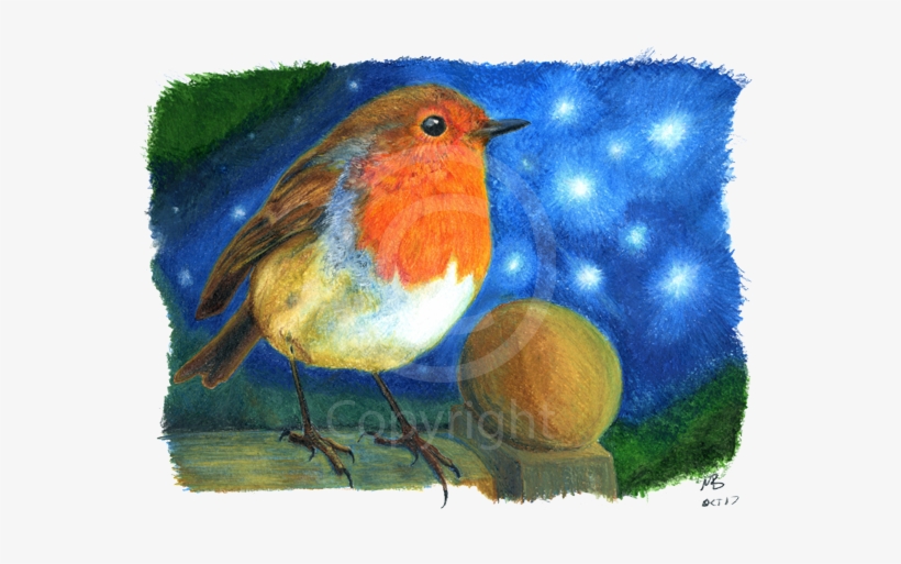Robin Red Breast On A Dark Blue Starry Sky, Watercolour - Drawing, transparent png download
