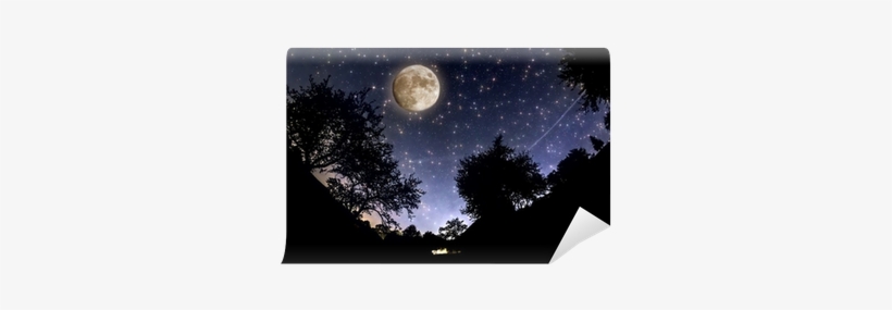 Clear Picture Of Moon, transparent png download