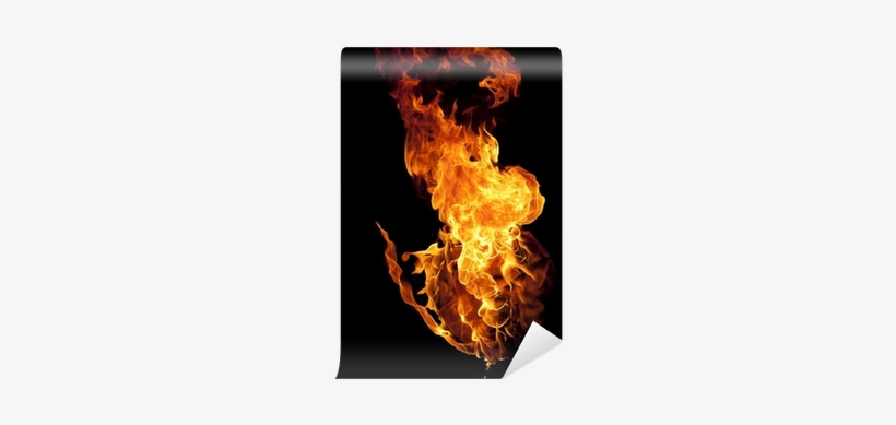 Catching Fire Mockingjay Pillow Sham, transparent png download