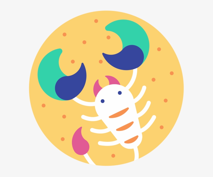 Scorpio - Scorpio Horoscope, transparent png download