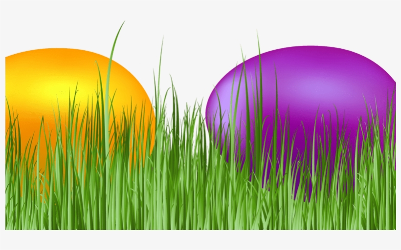 Easter Grass Eggs Png Download Image - Grass, transparent png download