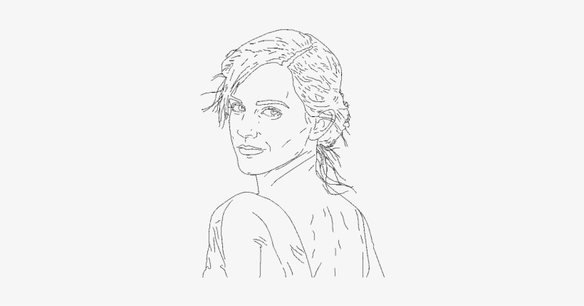 Vector Library Library Art Graphics And Photography - Drawing, transparent png download