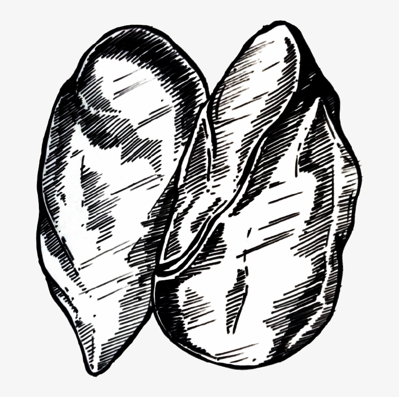 Smoked Chicken - Smoking, transparent png download