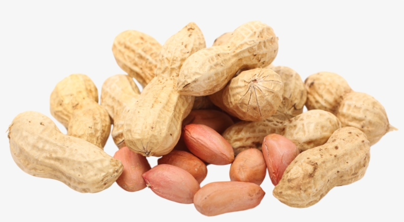 Peanut Png, transparent png download