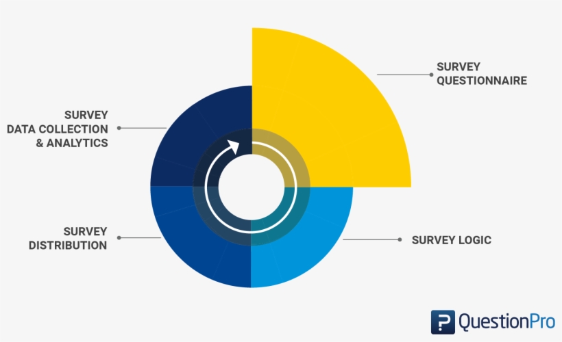 Surveys And Questionnaires, transparent png download