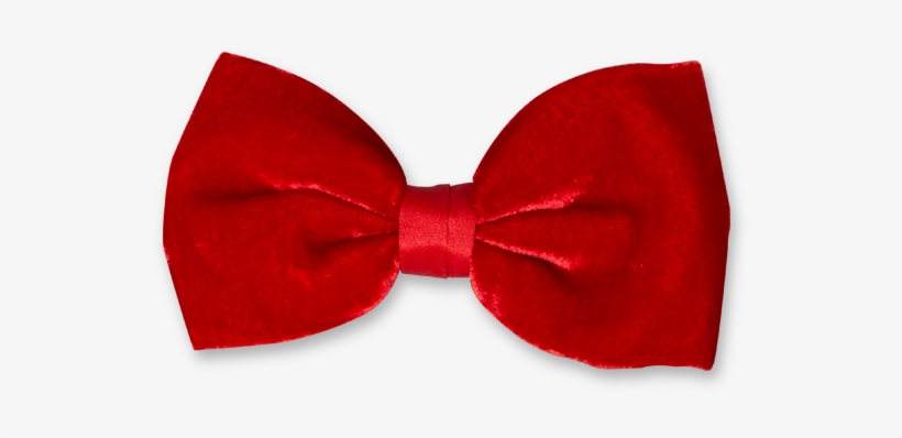 Noeud Papillon Png, transparent png download