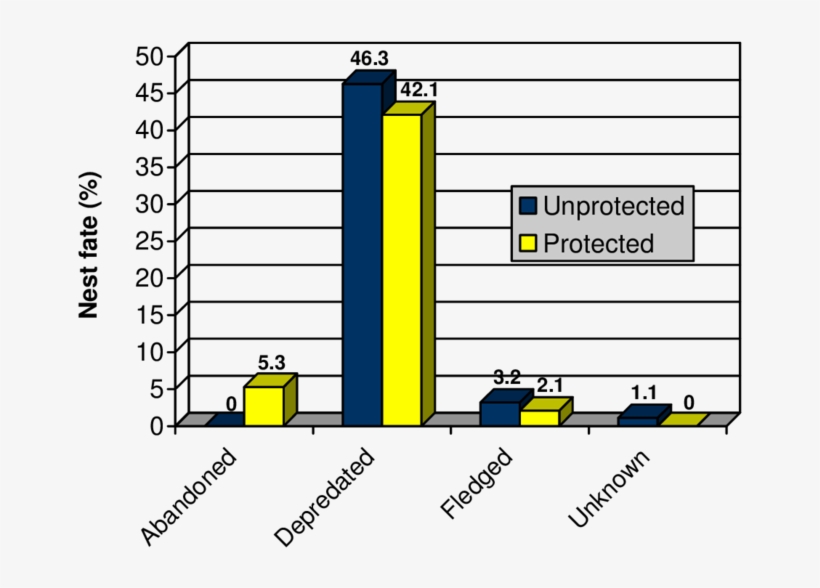 Nest Fate Percent For Unprotected And Protected Blackbird, transparent png download