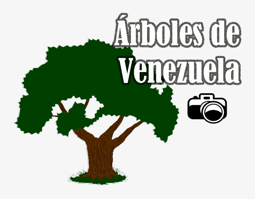 Png Araguaney Logos Para Arboles Png Png Araguaney, transparent png download