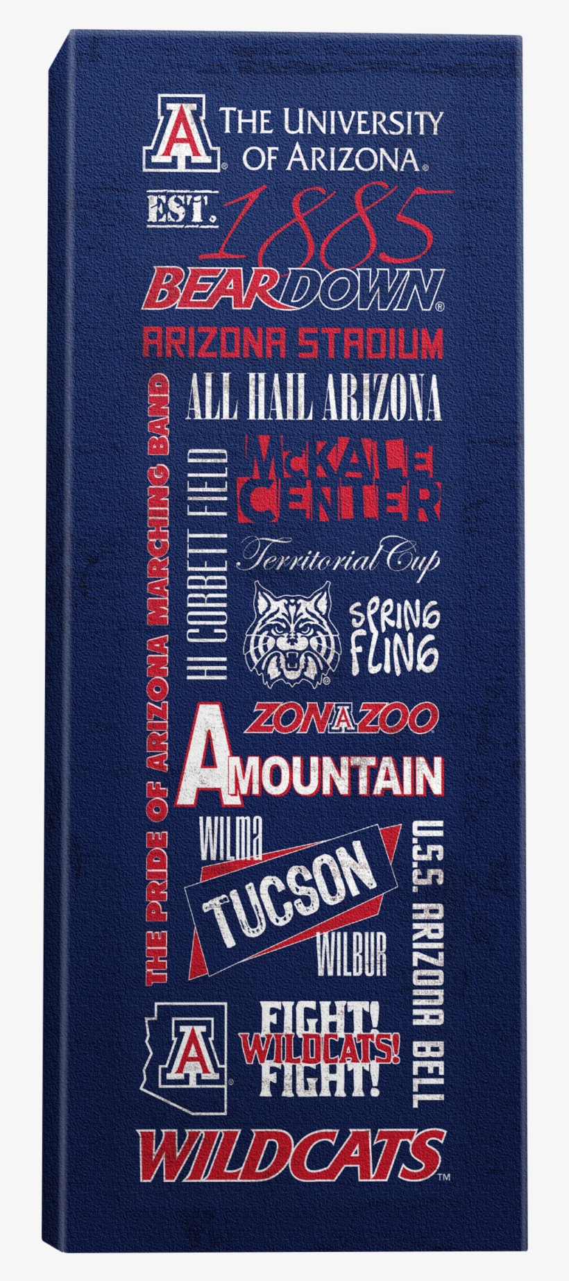 University Of Arizona, University College, transparent png download
