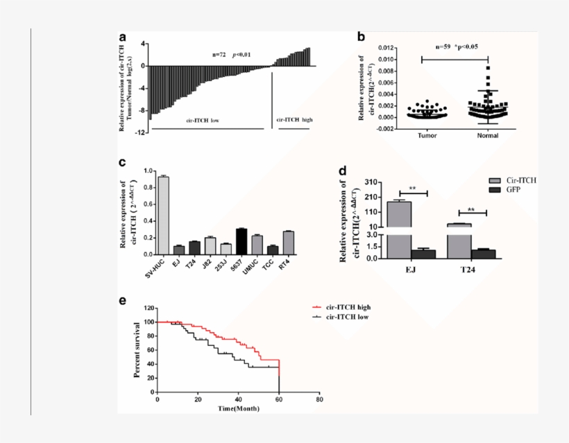 Cir Itch Was Significantly Decreased In Bca And Correlated, transparent png download