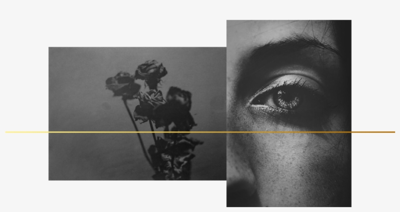 I Don't Care What You May Say About It At The Beginning, transparent png download