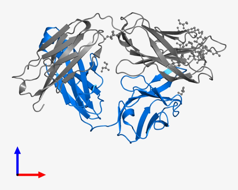 <div Class='caption-body'>pdb Entry 3tv3 Contains 1, transparent png download