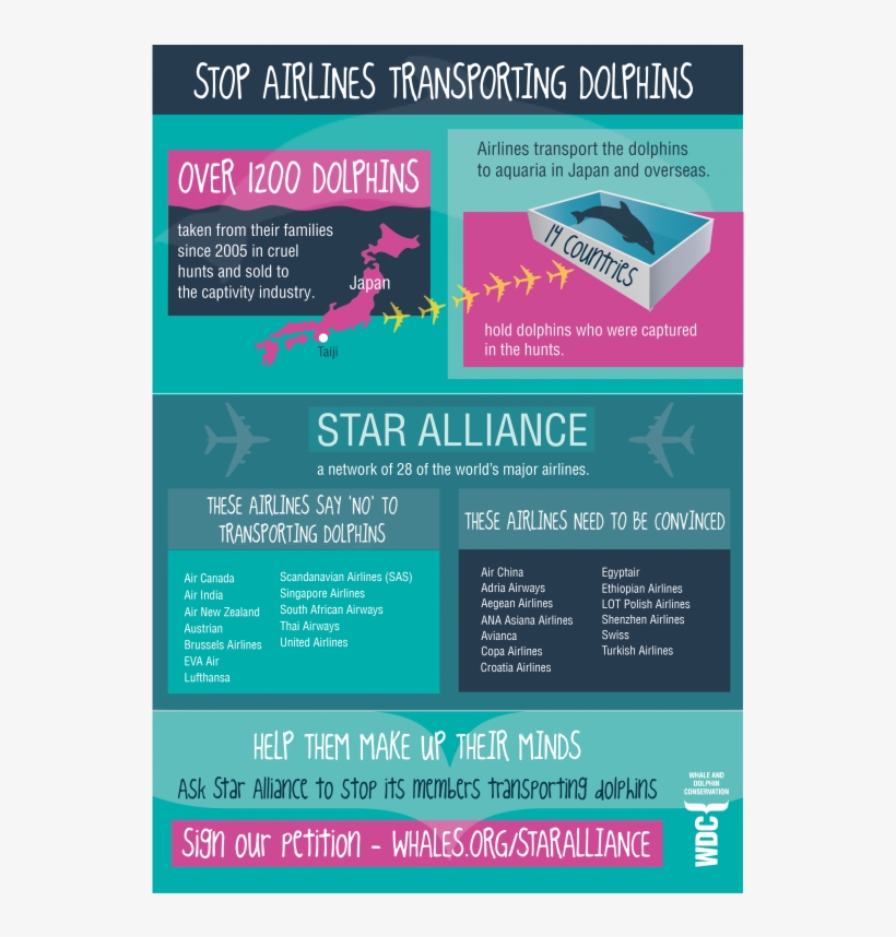 Whale And Dolphin Conservation, transparent png download