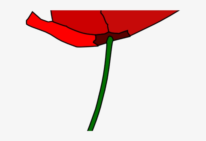 Picture Library Free On Dumielauxepices Net Flower, transparent png download