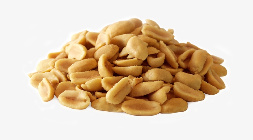 Peanut Png - Peanut, transparent png download