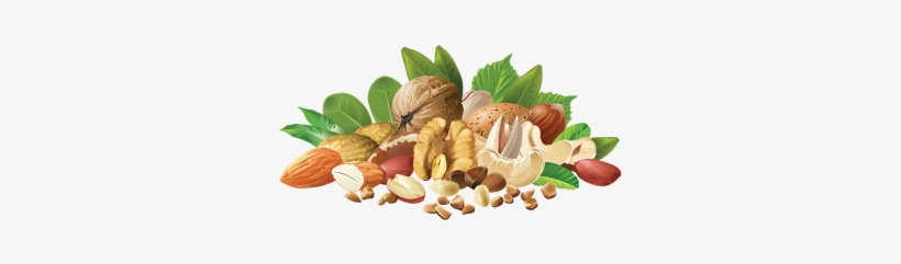 Realistic Different Nuts, Realistic Different Nuts, - Nuts Labels, transparent png download