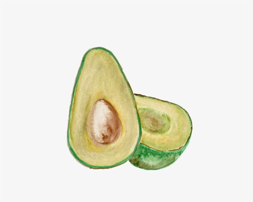 Avocado, transparent png download