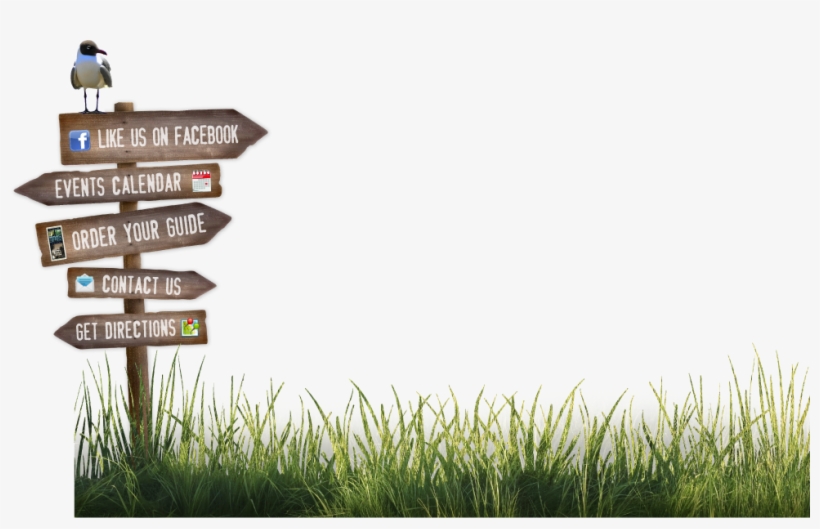 Add To Itinerary - Grass, transparent png download