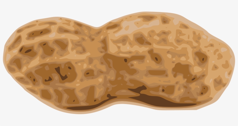 Peanut Clipart - Peanut Clipart Png, transparent png download