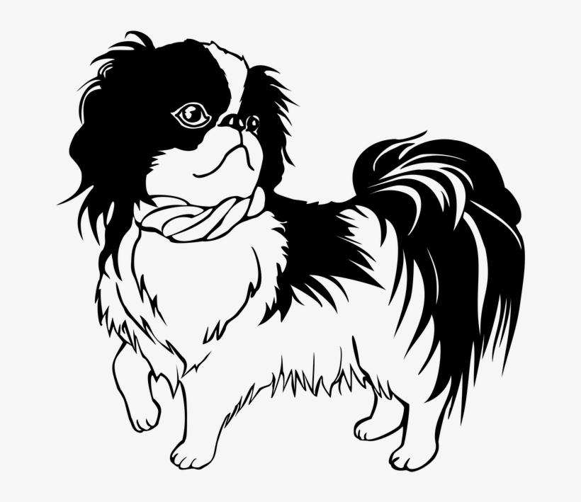 Dog Png Clipart - Shih Tzu Line Art, transparent png download